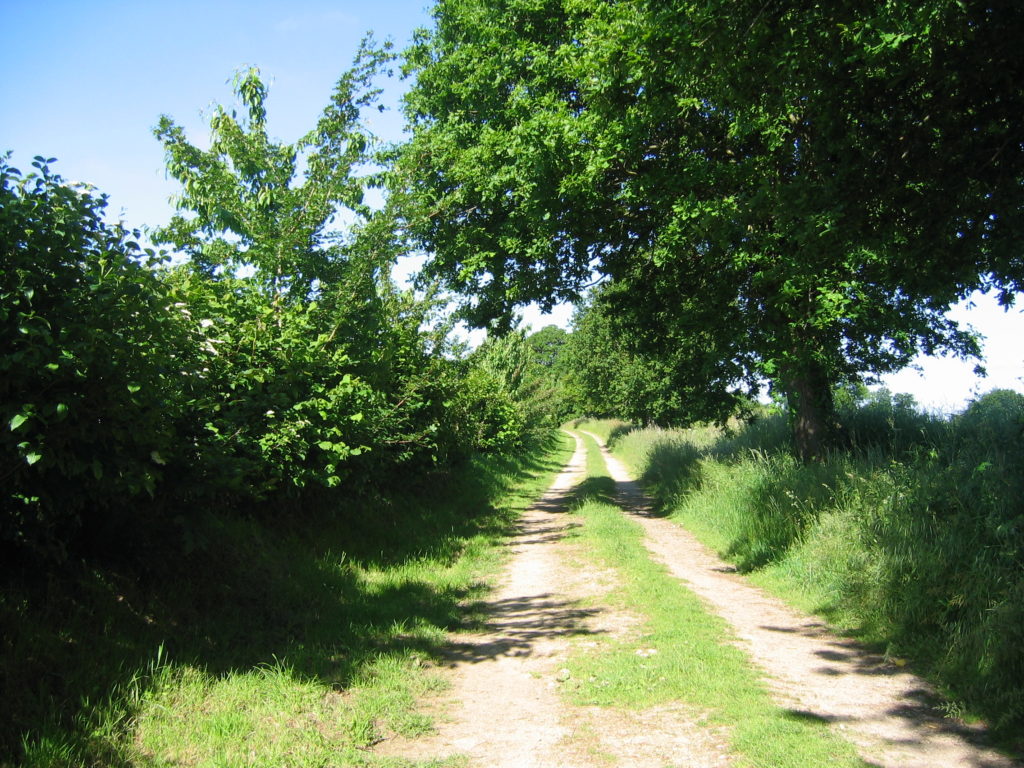 La voie romaine (Le chemin rennais)