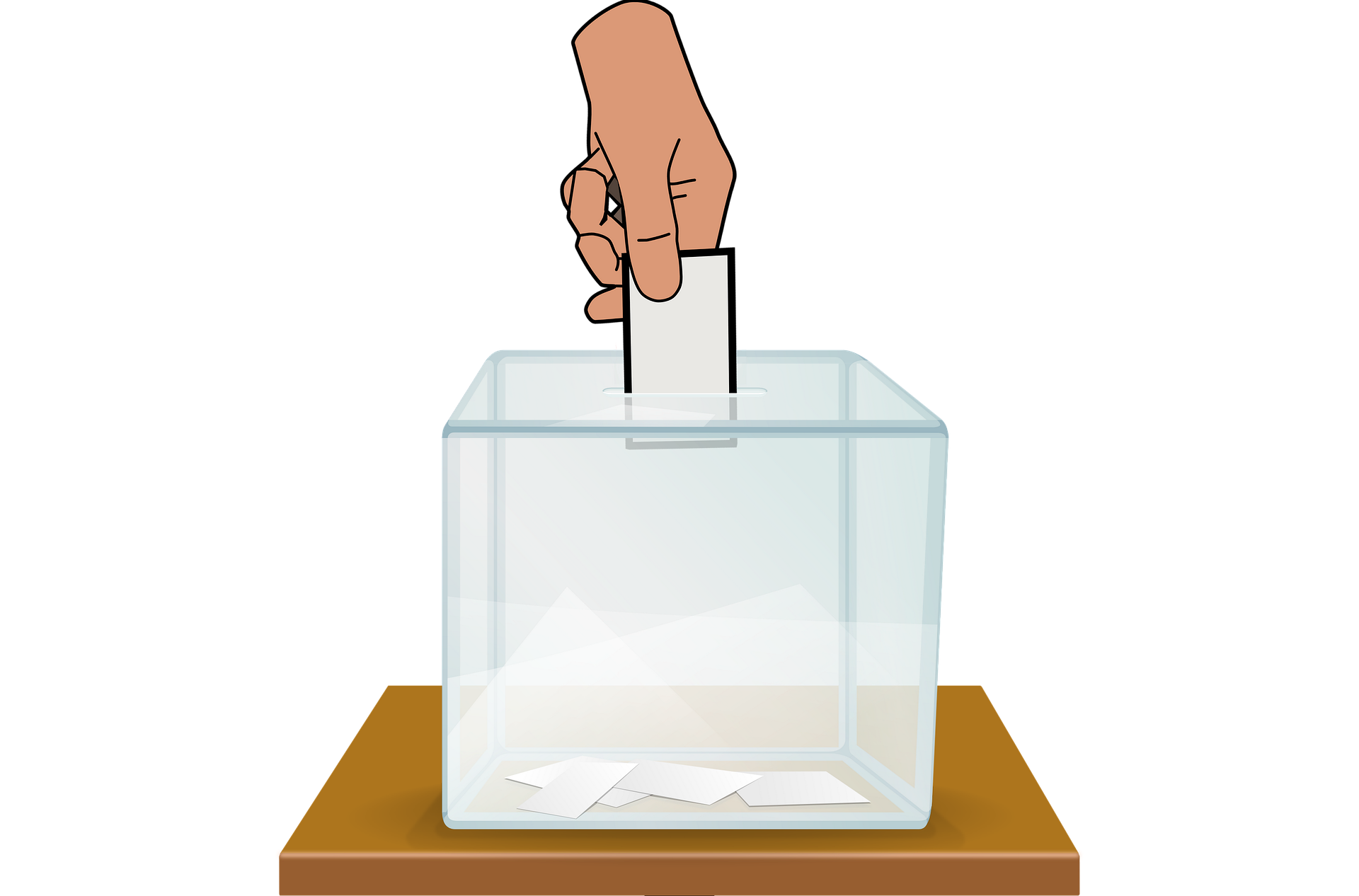 Élections législatives